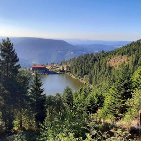 Appartamento Rehkitz Baiersbronn Esterno foto