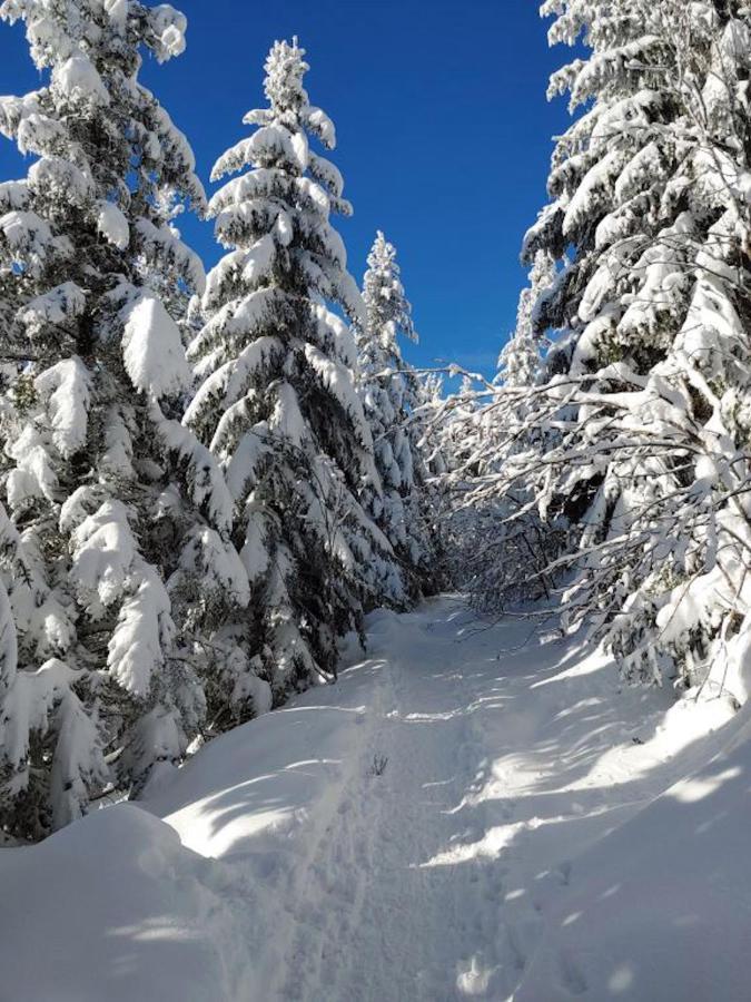 Appartamento Rehkitz Baiersbronn Esterno foto