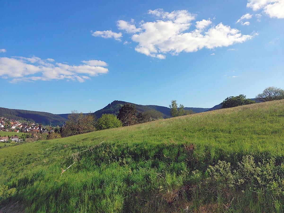 Appartamento Rehkitz Baiersbronn Esterno foto