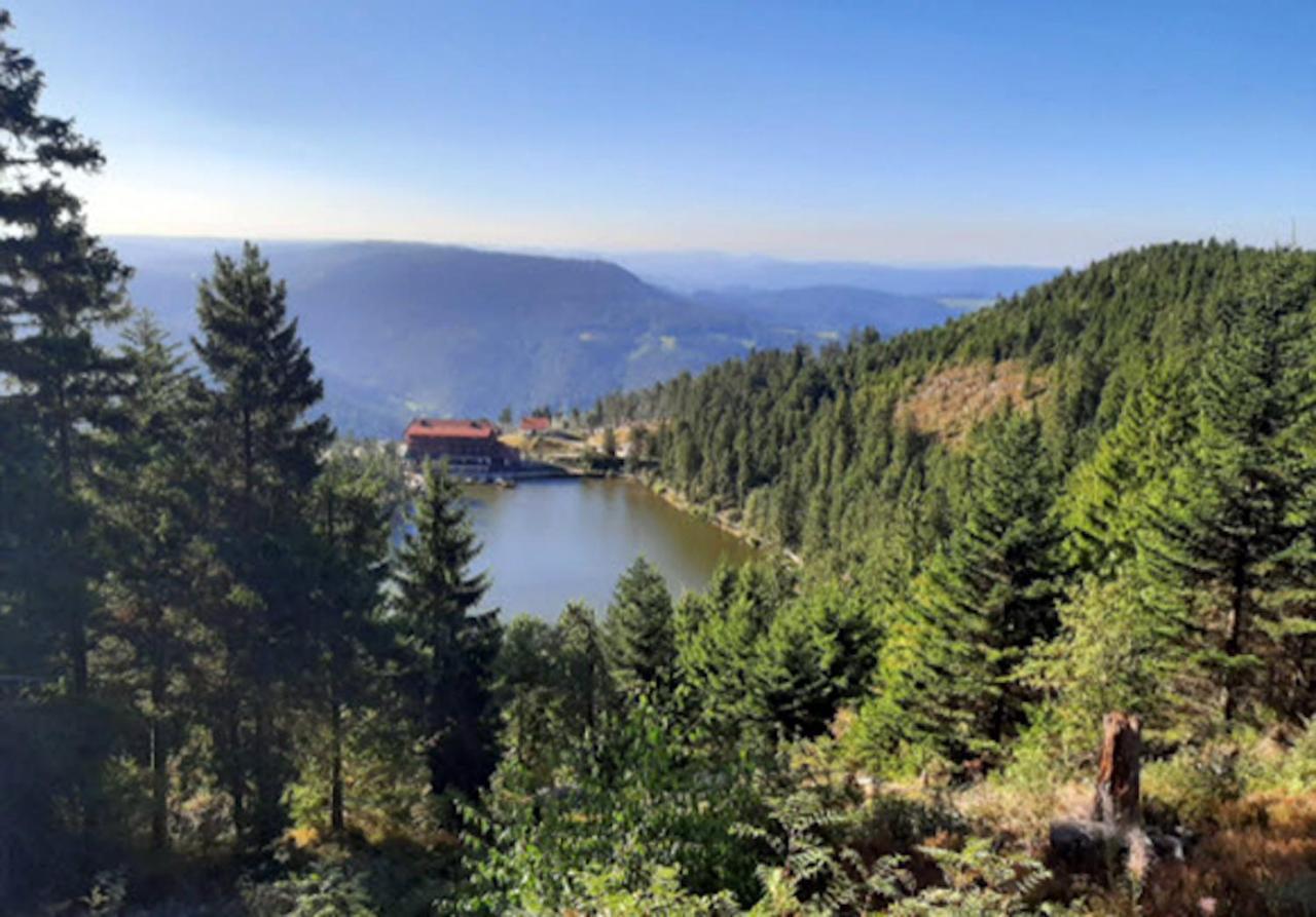 Appartamento Rehkitz Baiersbronn Esterno foto
